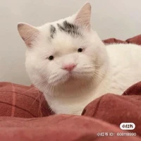 Nvp trừ ai thì trừ