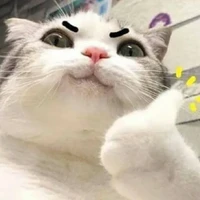 tác giả đây