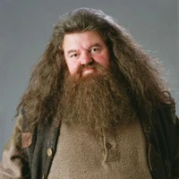 Rubeus Hagrid