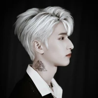 Nghiêm Hạo Tường