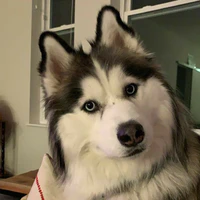 Bơ