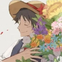 Monkey D Luffy