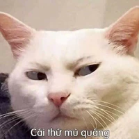 Tác giả xinh yêu