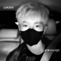 Louis V