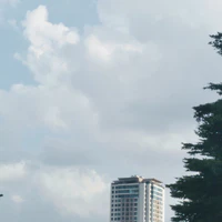 Tác giả^^