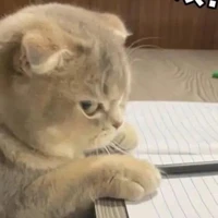 hệ thống 0905_yang