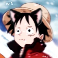 Luffy iu food😍