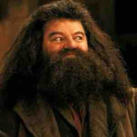 Rubeus Hagrid