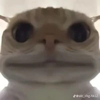 NV(nam hay nữ cũg đc)