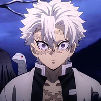 shinazugawa sanemi