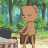 Bear