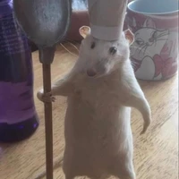 t/g chuột đz đây