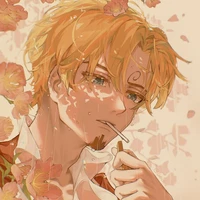 Vinsmoke Sanji