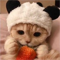 Nhỏ tác giả bị đần -)