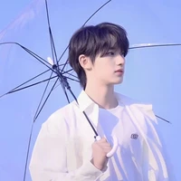 Đinh Trình Hâm (cậu)