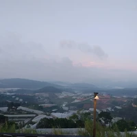 tác giả