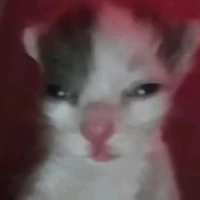 cô giáo