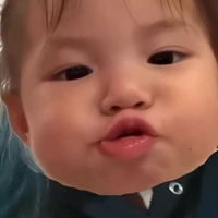 con tác giả ngáo