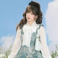 Lâm Di Bảo ( chị cô )