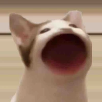Nhiều người 1 lúc