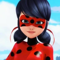 Lady bug