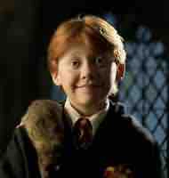 Ron Weasley 
