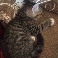 Thứ tạo nên định mệnh:)