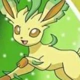 leafeon_satoshi