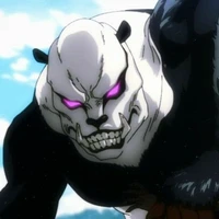 panda