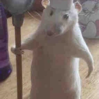 Con chuột khổng lồ trên phim