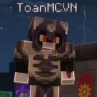 Toàn