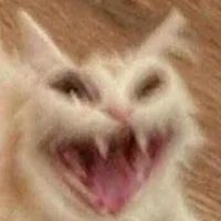 tác giả bụy đin