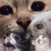 Au