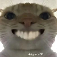 Đa nv