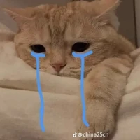 con tg điên