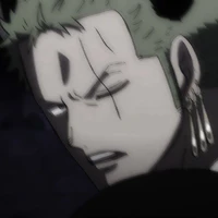 roronoa zoro(1111)