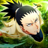Shikamaru Nara