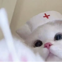 Tác giả