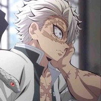 Sanemi Shinaguzawa
