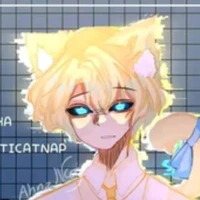 Hiha Anti Catnap