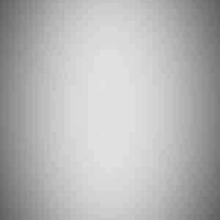 NVP