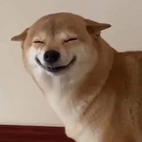 Đa vai, vai nào cũng làm