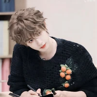 Hạ Tuấn Lâm