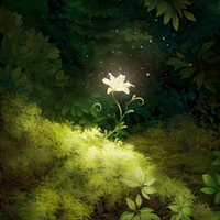 Nv phụ
