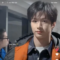 Lưu diệu văn