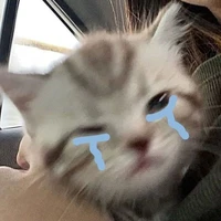 tg siêu báo