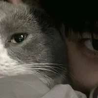 Bạn Dương- Hiệp