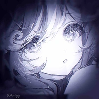 Y/N