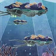 Reefback  (rạn san hô bơi lội)