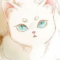Sora